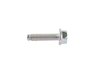 SCREW - image 3
