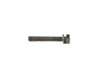 SCREW - image 3