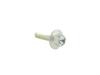 SCREW - image 1