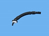 PLUG - image 1