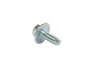 SCREW - image 2