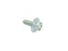 SCREW - image 1