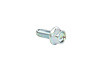 SCREW - image 1