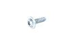 SCREW TORX HEAD