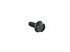 SCREW - image 1