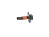 SCREW - image 3