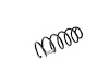 SPRING FRONT COIL - image 1
