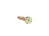 SCREW - image 1