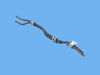 HOSE/TUBE TRANS OIL COOLE - image 2