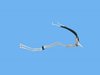 HOSE/TUBE TRANS OIL COOLE - image 3