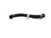 HOSE COOLANT BOTLE OUTLET - image 4