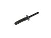 RIVET - image 2