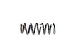 SPRING FRONT COIL - image 3