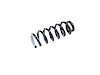 SPRING FRONT COIL - image 1