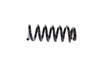 SPRING FRONT COIL - image 4