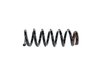 SPRING FRONT COIL - image 4