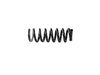 SPRING FRONT COIL - image 4