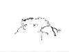WIRING ENGINE - image 1