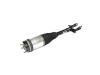 SPRING AIR SUSPENSION
