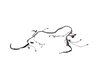 WIRING FRONT END MODULE - image 3