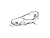 WIRING FRONT END MODULE - image 1