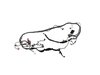 WIRING FRONT END MODULE - image 3