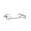 WIRING FRONT END MODULE - image 2