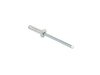 RIVET - image 2