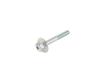 SCREW - image 1