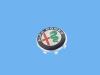 WHEEL CENTER CAP - image 1