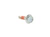 SCREW - image 1