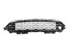 GRILLE RADIATOR - image 4