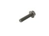 SCREW - image 2