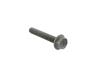 SCREW - image 1