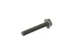 SCREW - image 2