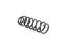 SPRING FRONT COIL - image 2