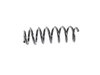 SPRING FRONT COIL - image 4