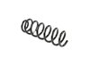 SPRING FRONT COIL - image 2