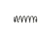 SPRING FRONT COIL - image 4