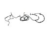 WIRING BODY LEFT - image 2