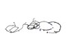 WIRING BODY LEFT - image 3