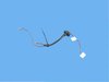 WIRING LICENSE LAMP - image 2