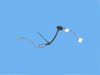 WIRING LICENSE LAMP - image 4