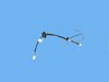 WIRING LICENSE LAMP - image 3