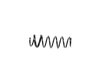 SPRING FRONT COIL - image 3