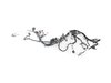 WIRING TRANSMISSION - image 2