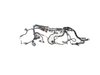 WIRING TRANSMISSION - image 3