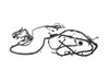 WIRING CHASSIS - image 3