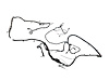 WIRING CHASSIS - image 1