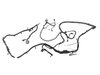 WIRING CHASSIS - image 3
